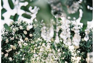 Imoni Events - 45