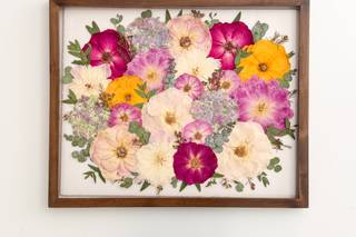 White Poppy Preservation - 6