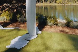 Lake and Wood - 52