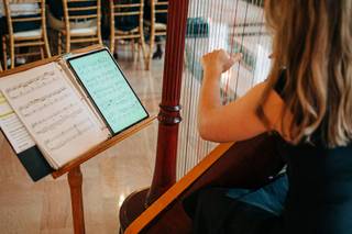 Harpist Janna Engell - 2