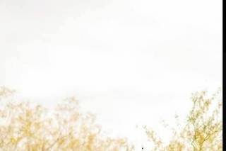 Saguaro Buttes - 31