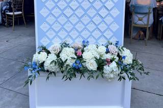 Jackie Fogartie Events - 29