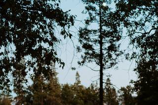 Wesley Harden Photography - 8