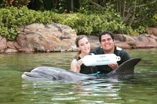 Discovery Cove, Orlando - 41
