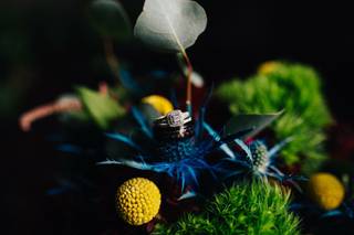 Caedy Convis Photography - 56