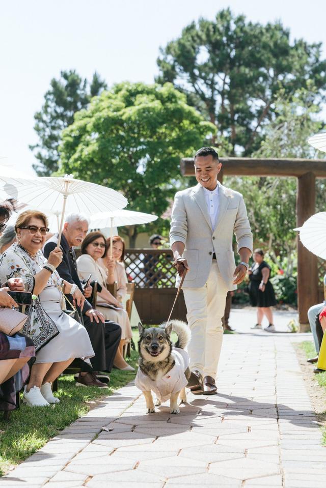 I Dog Too - Wedding Pet Attendant - 1