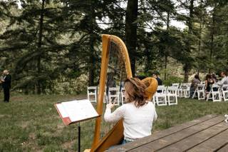 Bethany Evans, Harpist - 9