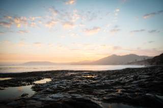 Amy Wellenkamp Photographer - 25