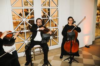 Viol Consort - 13