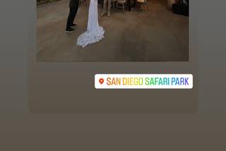 San Diego Zoo Wildlife Alliance - 52