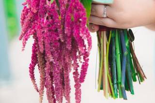 Giliane E. Mansfeldt Photography, LLC - 9