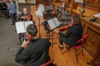 James Teal Violin - 15