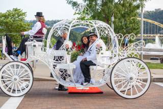 Horsing Round Carriage Service - 7
