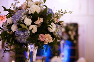 Lana Hollins Photography & Art - 40