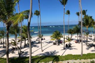 Honeymoons, Inc. - 85