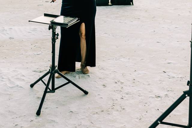 Alisar Electric Violin 1