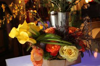 Jacob Maarse Florists - 36