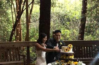 Nom Nom Cakes - 1