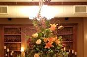 Botanicals Design Studio - 25