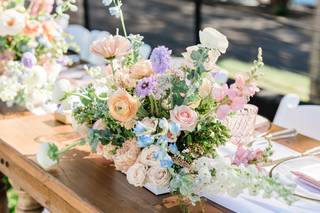 Little Bird Events - 36