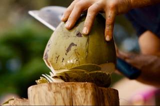 The Catered Coconut - 16