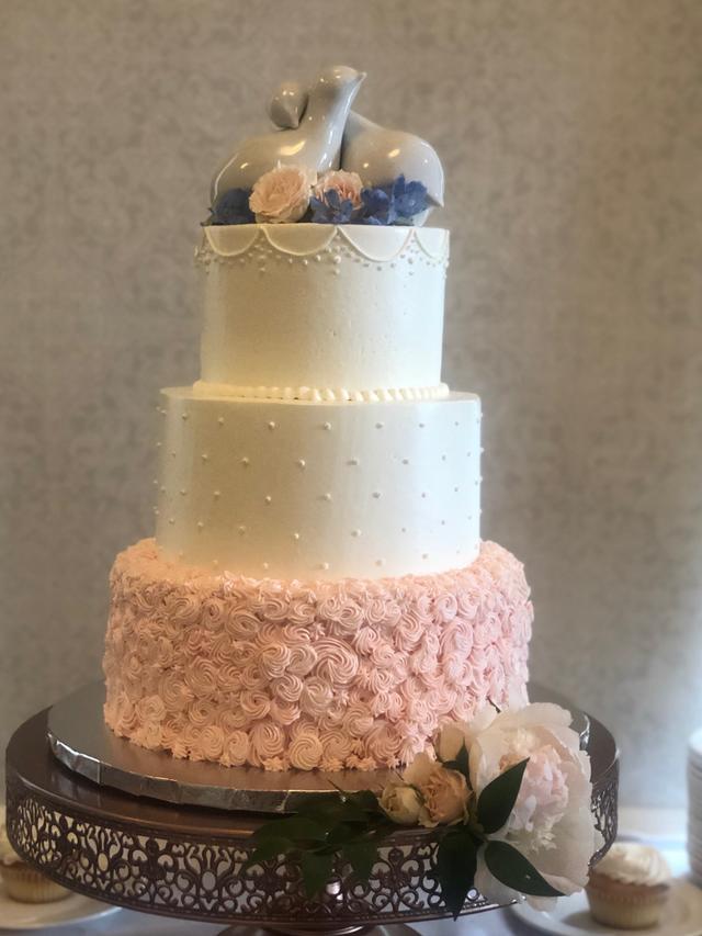 Paris Cake Company - 3