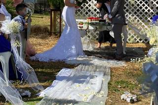 Weddings By Reverend Susie - 145