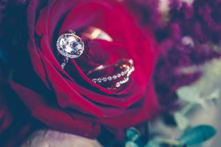 DAVID ALDERMAN PHOTOGRAPHY - 6