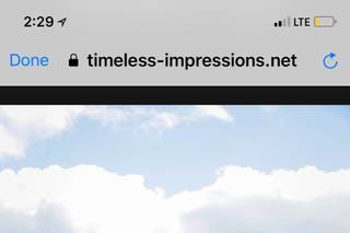 Timeless Impressions Photography - 16