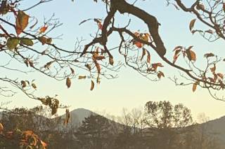Brasstown Valley Resort & Spa - 28