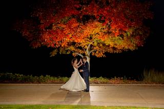 The Ksbphoto - 11