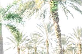 Ashlee Nicole Photography - 10
