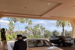 Exotic Limo - 94