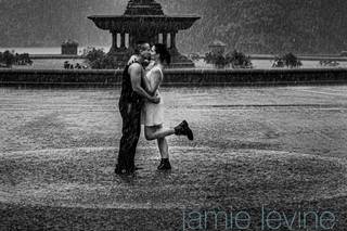 Jamie Levine Photography - 5