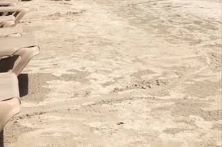 Honeymoons, Inc. - 80