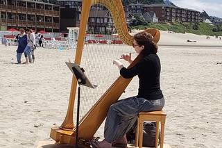 Bethany Evans, Harpist - 10