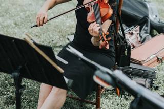 Perfect Harmony String Ensemble 5