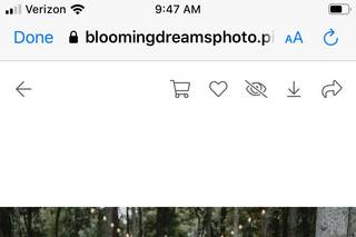 Blooming Dreams Photo - 41