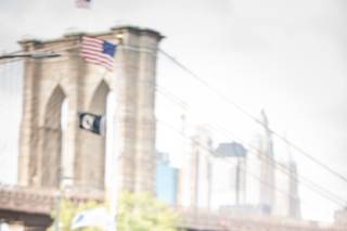Joshua Zuckerman Photography - 11