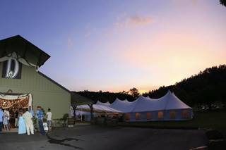 Tessentee Farm and Wedding Event Center - 6