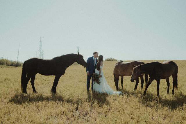 AK Diamond J Ranch - 1