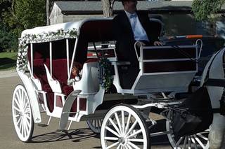 Carriage Limousine Service - Horse Drawn Carriages - 12