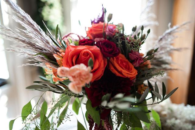 Marilyn Wendt Photography - 4
