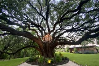 Trickle Creek Ranch & Events - 67