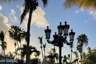 Island Dreams - 14