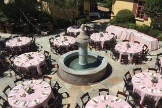 Fancy Fern Events - 19