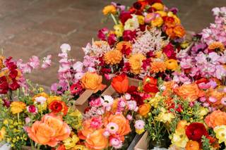 Velvet Blooms - 7
