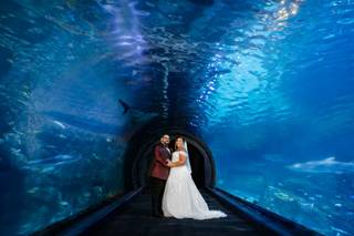 Ambar Moreno Photography - 6