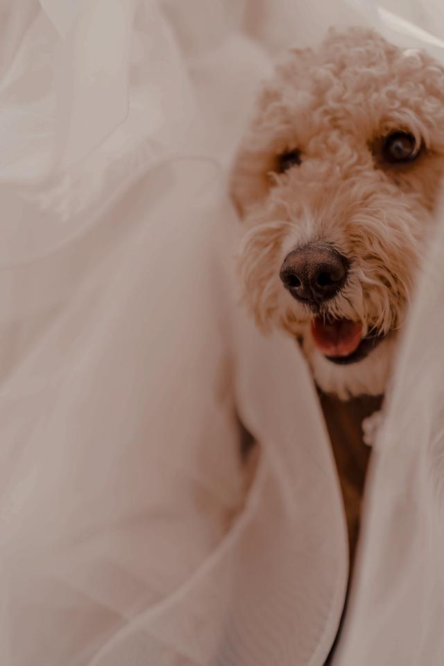 Frolic Photo Co. - 3
