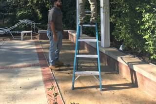Jacob Maarse Florists - 50